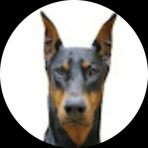 quebecdogg